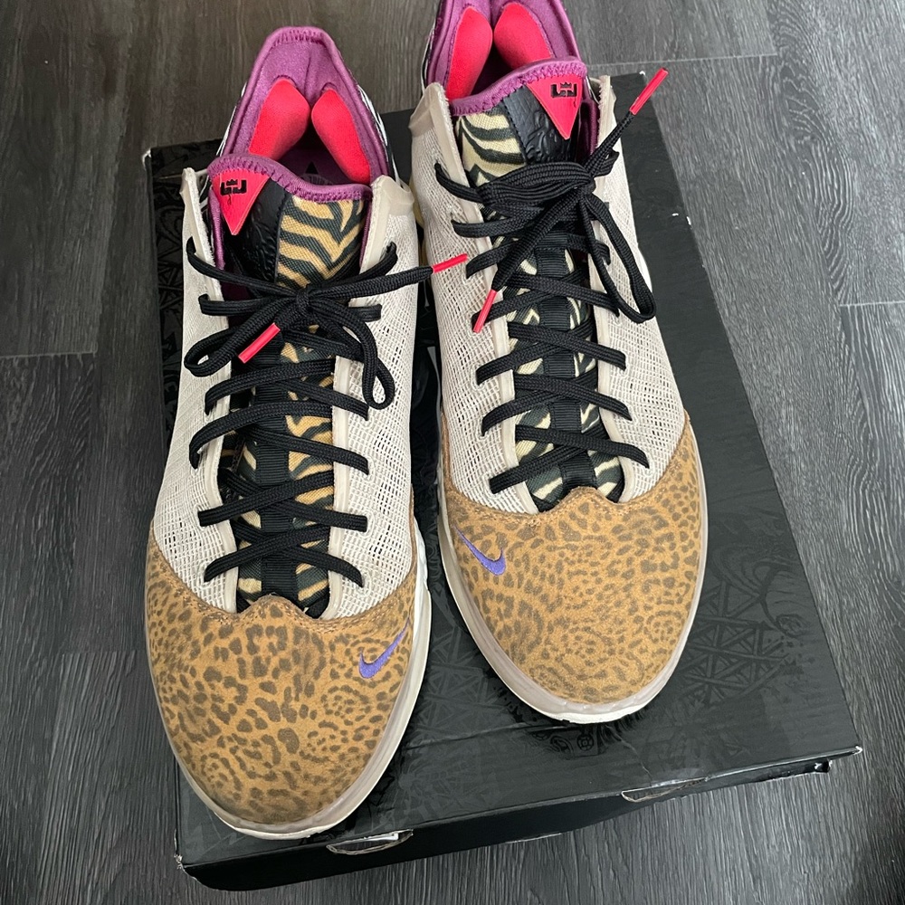 Worn lebron 19 low